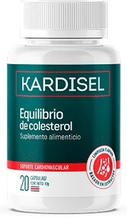 KARDISEL · Presentación del vendedor